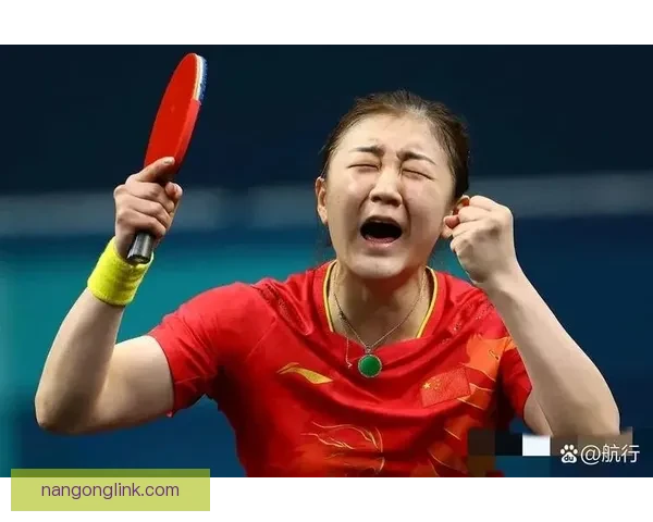 东京奥运会精彩瞬间回顾 中国选手多项目夺金再创辉煌